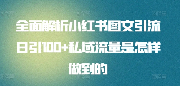 全面解析小红书图文引流日引100私域流量是怎样做到的-忘忧资源库