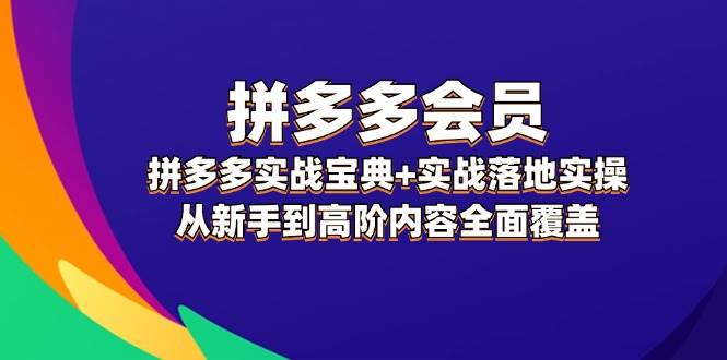 拼多多 会员，拼多多实战宝典+实战落地实操，从新手到高阶内容全面覆盖-忘忧资源库