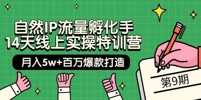 自然IP流量孵化手 14天线上实操特训营【第9期】月入5w+百万爆款打造 (74节)-忘忧资源库